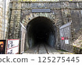 Great Shaded Tunnel Promenade 125275445