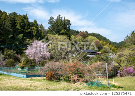 就像天堂一樣 125275471