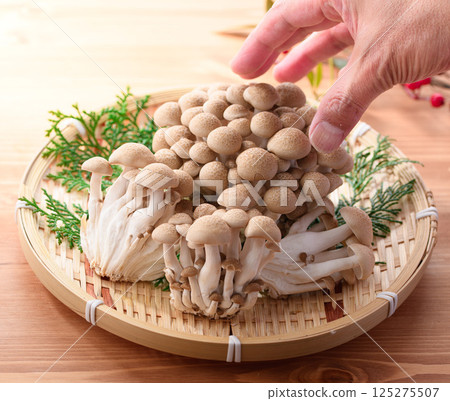 離褶傘 離褶傘 125275507