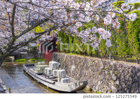The remains of Takasegawa Ichinofunauri surrounded by cherry blossoms 125275549