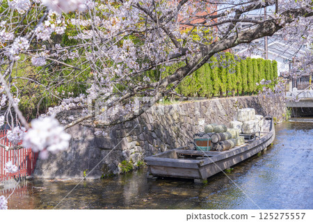 The remains of Takasegawa Ichinofunauri surrounded by cherry blossoms The remains of Takasegawa Ichinofunauri surrounded by cherry blossoms 125275557