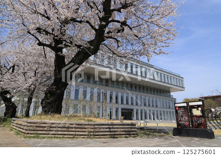 Cherry blossoms and Takasaki City Central Library (Takasaki City General Health Center) 125275601