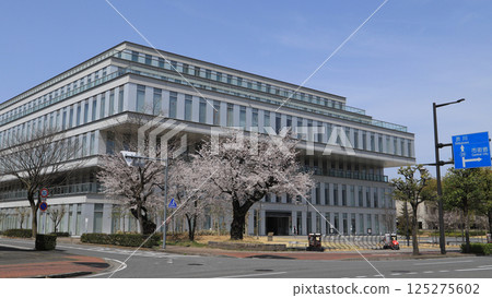 Cherry blossoms and Takasaki City Central Library (Takasaki City General Health Center) 125275602