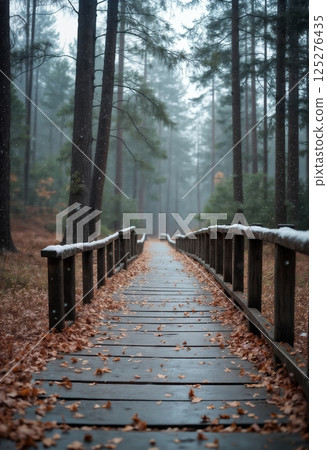 an impressive late autumn landscape, a wooden path in the forest, between beautiful trees with fallen leaves, beautiful nature 125276435