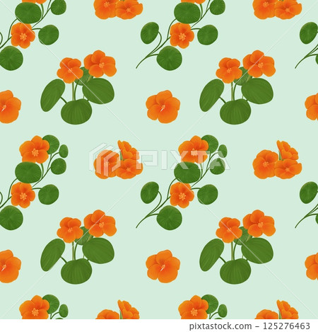 Vintage Nasturtium Seamless Floral Pattern Green background Vintage Nasturtium Seamless Floral Pattern Green background 125276463
