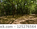 愛知縣名古屋市西山峰天白公園 125276564