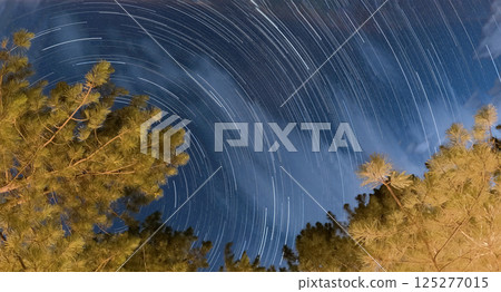 The night starry sky and pine trees. Beautiful natural view. Long exposure time. Coniferous trees and blue sky. 125277015