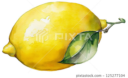 用水彩畫的檸檬插圖素材 用水彩畫的檸檬插圖素材 125277104