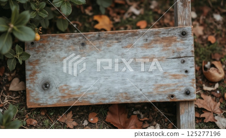 an empty sign board on the background of a forest, made of wood, old and weathered plaque 125277196