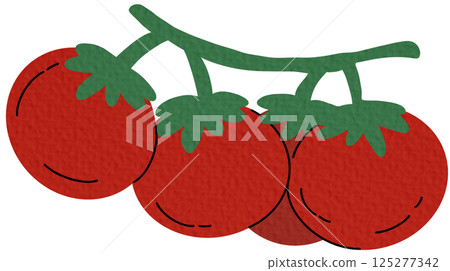 vector, tomato, vegetable 125277342