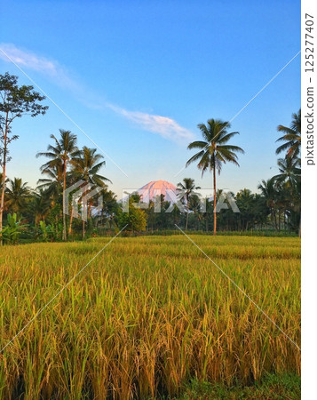 Mount Semeru 125277407