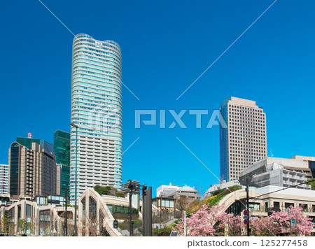 Azabudai and Roppongi Area in Spring - Cityscape (March 2025) Azabudai and Roppongi Area in Spring - Cityscape (March 2025) 125277458