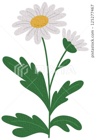vector, flower, leaf 125277467