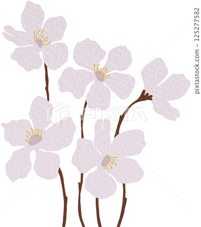 vector, flower, blossom 125277582