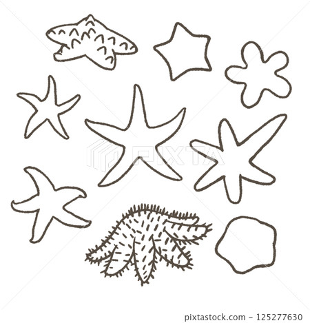 Set of various starfish line drawings Set of various starfish line drawings 125277630