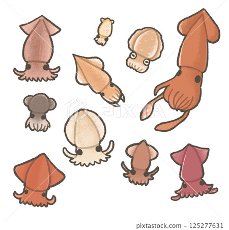 Set of various squids 125277631