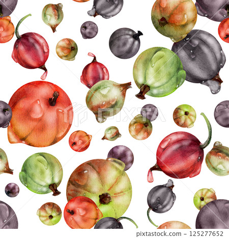 Currant gooseberry in water dew drops, garden berry huckleberry juneberry casseille jostaberry, watercolor hand drawn. Isolated seamless pattern tile. Background wallpaper, packaging cover design Currant gooseberry in water dew drops, garden berry huckleberry juneberry casseille jostaberry, watercolor hand drawn. Isolated seamless pattern tile. Background wallpaper, packaging cover design 125277652