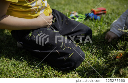 A child plays with toy cars on the lawn in the sunny day 125277660