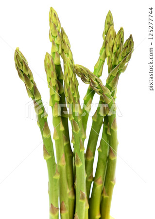 Asparagus (Awkward in Sanuki) Asparagus (Awkward in Sanuki) 125277744