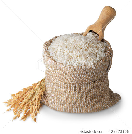long rice in burlap sack and wooden spoon inserted on top with ears isolated on white background long rice in burlap sack and wooden spoon inserted on top with ears isolated on white background 125278306