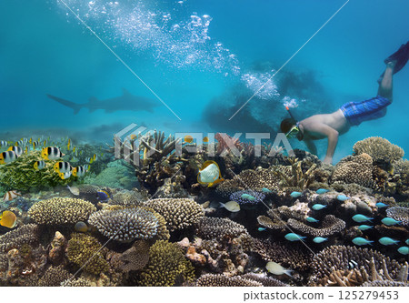 Snorkeling on a coral reef - Maldives Snorkeling on a coral reef - Maldives 125279453