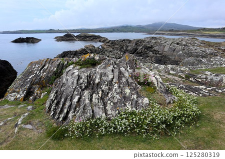 Landscape of the Mizen Peninsula, Ireland 125280319