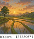 Sunset sky in the paddy fields 125280674