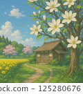 Old house and magnolia flowers in spring 125280676
