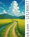 Rice field road with swaying ears of rice 125280677