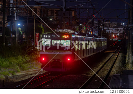 Kansai Main Line 201 Series 125280691