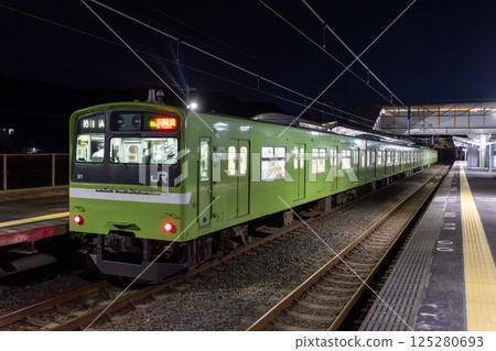 Kansai Main Line 201 Series 125280693