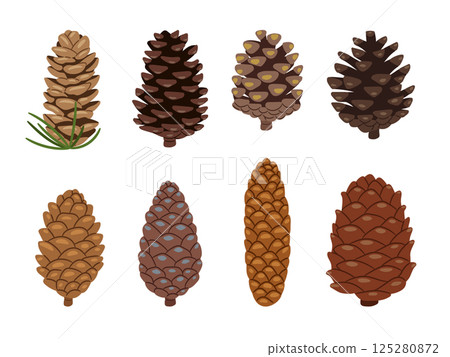 Fir or pine cones as plant part vector collection on white background Fir or pine cones as plant part vector collection on white background 125280872