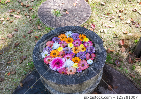 Wagokoro Hospitality with flower chozubachi Wagokoro Hospitality with flower chozubachi 125281007