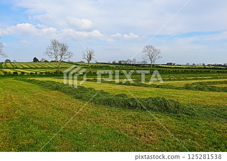 Bushmills countryside, Northern Ireland Bushmills countryside, Northern Ireland 125281538