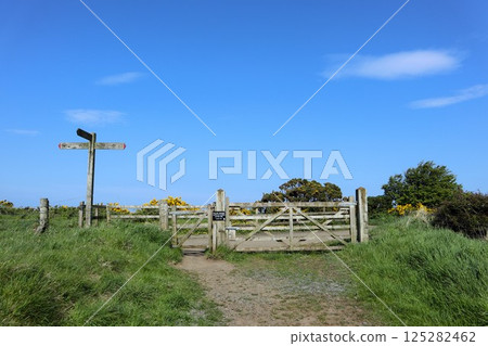 Giant's Causeway Trail, Northern Ireland 125282462