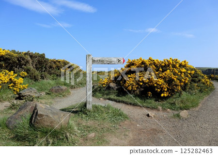 Giant's Causeway Trail, Northern Ireland 125282463