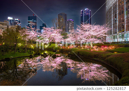 六本木 - 毛利花園的櫻花燈飾 125282817