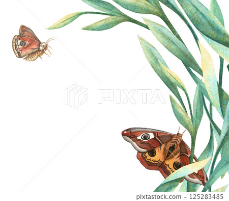 Summer botanical butterflies and green leaves horizontal template. Floral hand drawn watercolor frame with peacock butterfly and foliage. Perfect for seasonal themes, arrangement, wedding invitation 125283485