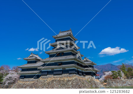 Matsumoto Castle tower shining against the blue spring sky in Matsumoto City, Nagano Prefecture 125283682