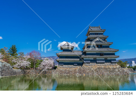 長野縣松本市的松本城塔在春天的藍色天空下閃閃發光 125283684