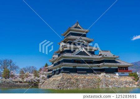 Matsumoto Castle tower shining against the blue spring sky in Matsumoto City, Nagano Prefecture 125283691