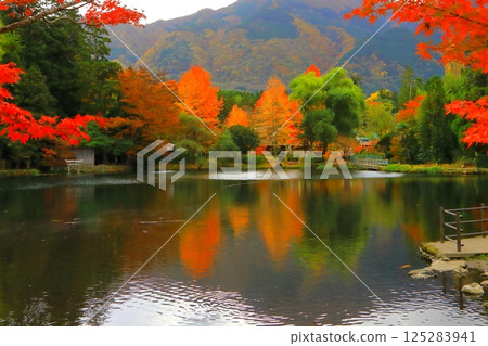 秋天的金鱗湖(由布市由布院町) 秋天的金鱗湖(由布市由布院町) 125283941