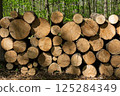 Close-up of stacked timber logs in forest 125284349