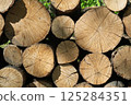 Detailed texture of tree trunks in woodpile 125284351