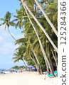 藍色海和棕櫚樹 125284366