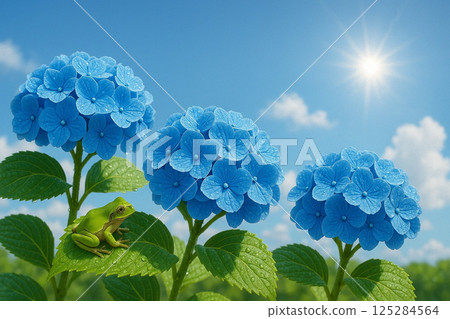 雨後新鮮的繡球花和樹蛙 125284564