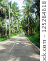 兩旁種滿棕櫚樹的路 125284618