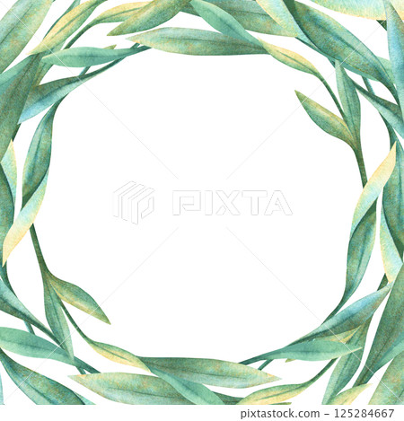 Spring green leaves eucalyptus square frame circle template. Elegant botanical round foliage vortex. Floral watercolor. Perfect for seasonal event arrangement, wedding invitation and greeting card 125284667