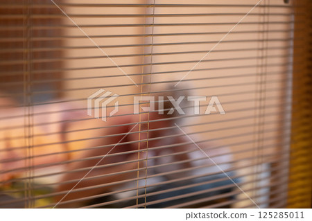 Blurred Person Behind Window Blinds 125285011