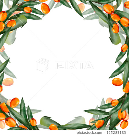 Sea buckthorn. Berries with leaves. Hand drawn watercolor illustration. Square frame with place for text. Isolated on white background. Template for design, print, textile, cards, invitations Sea buckthorn. Berries with leaves. Hand drawn watercolor illustration. Square frame with place for text. Isolated on white background. Template for design, print, textile, cards, invitations 125285183